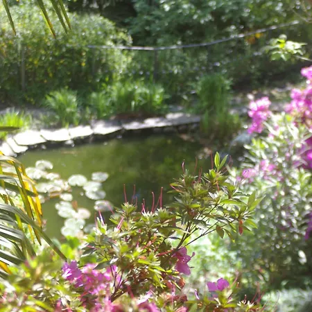 Vecchia Scuderia By Interhome Apartmán Cissano